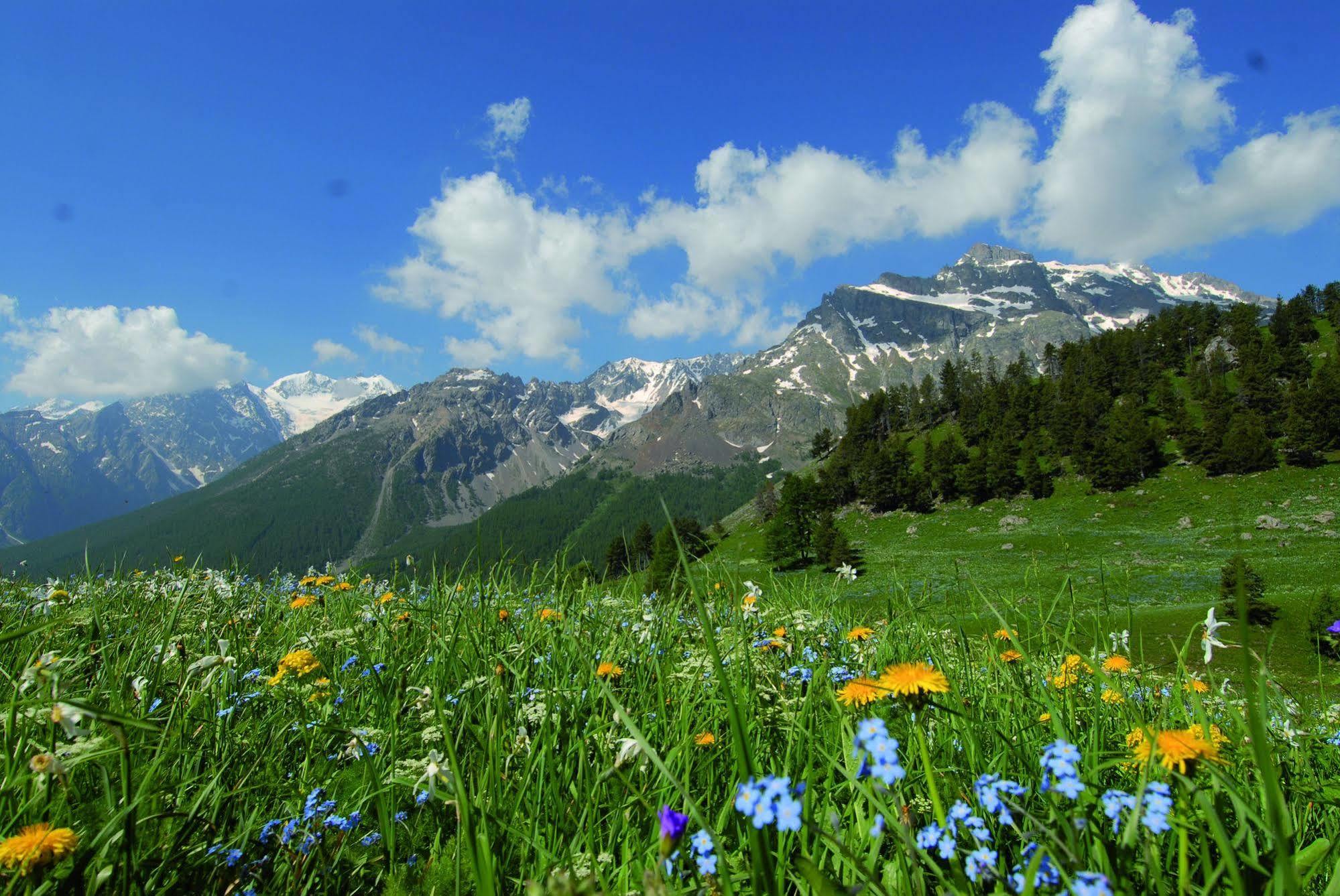 Club Vacances Bleues Les Alpes D'Azur La Salle-les-Alpes Eksteriør billede